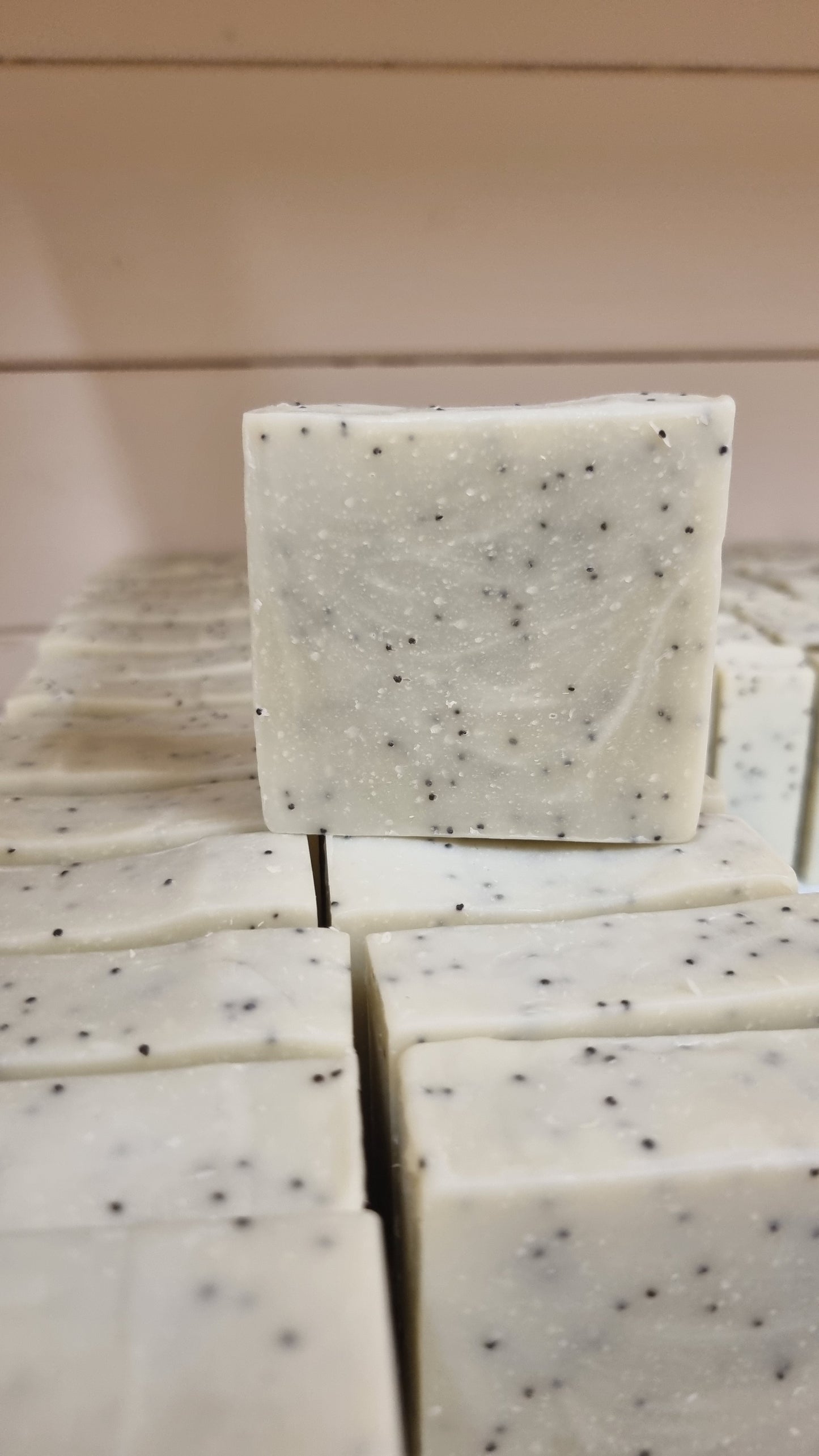 Mighty Soap Gym Bundle - Box of 20 Soaps